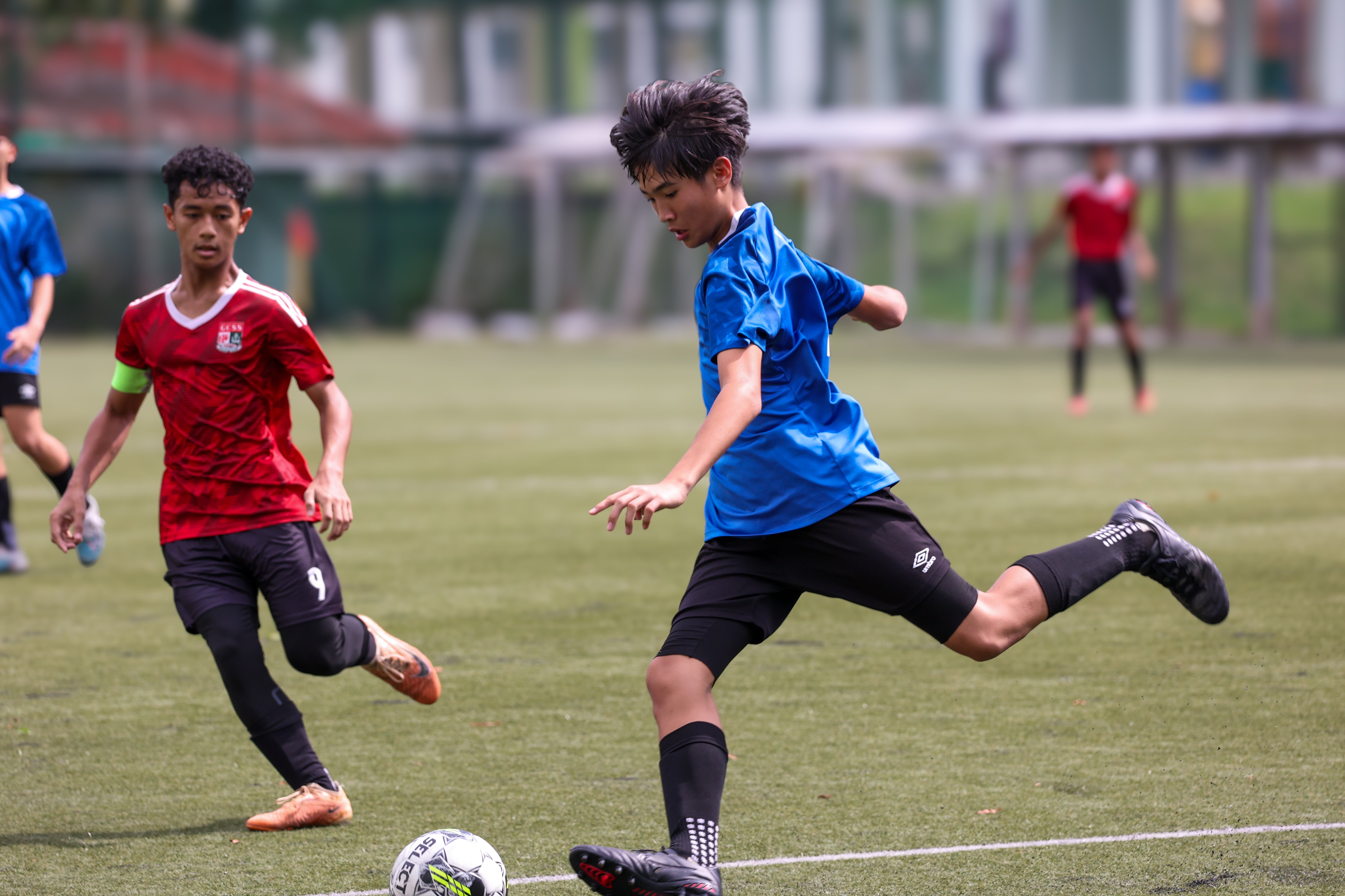 portfolio football 6